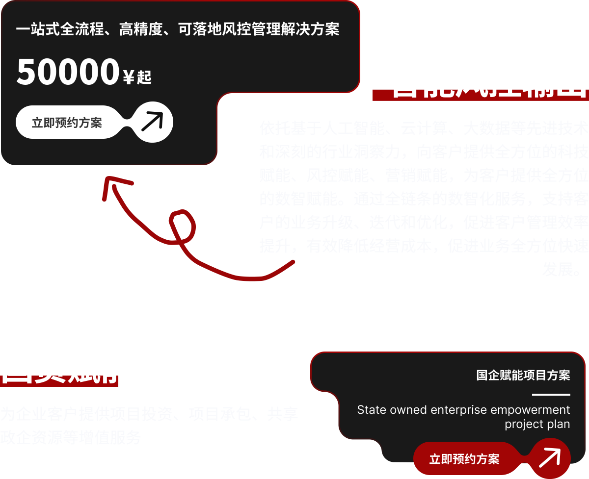 依托基于人工智能、云计算、大数据等先进技术和深刻的行业洞察力，向客户提供全方位的科技赋能、风控赋能、营销赋能，为客户提供全方位的数智赋能。通过全链条的数智化服务，支持客户的业务升级、迭代和优化，促进客户管理效率提升，有效降低经营成本，促进业务全方位快速发展。